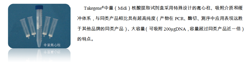 1585012857612342.png