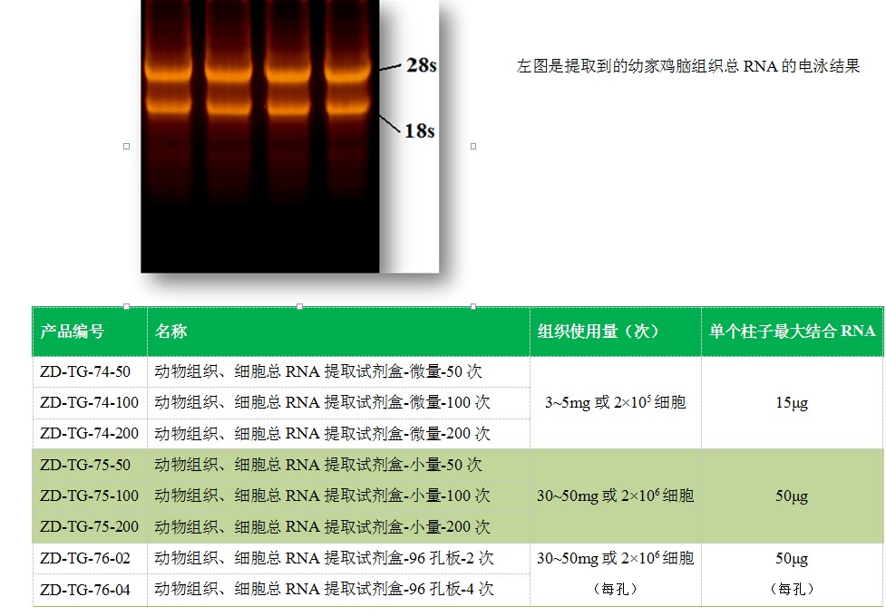Animal Tissue, Cell Total RNA Extraction Kit product details